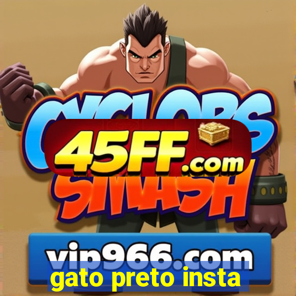 gato preto insta